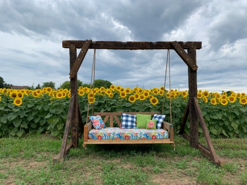 A wooden swing with colorful cushions in front of a field of bright sunflowers under a cloudy sky.