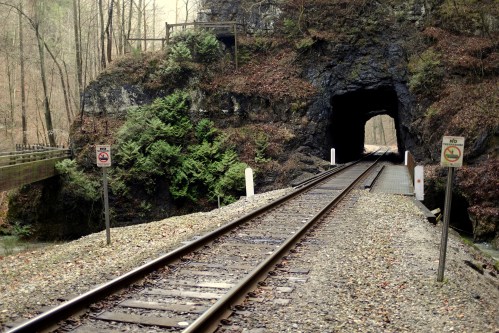 A railway track leads into a dark tunnel, surrounded by trees and rocky terrain, with warning signs nearby.