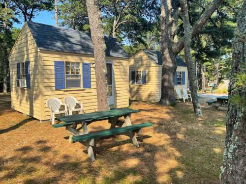 Two yellow cabins nestled among trees, with a picnic table in front and a clear blue sky above.