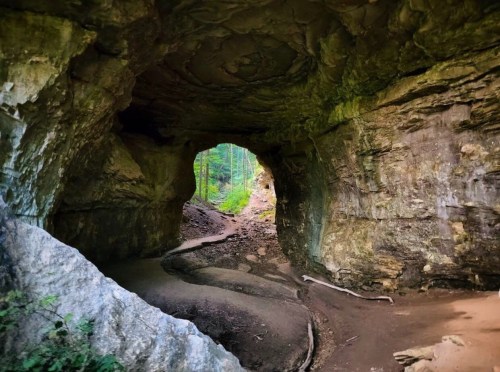 A natural rock archway leading to a lush, green forest path inside a cave.