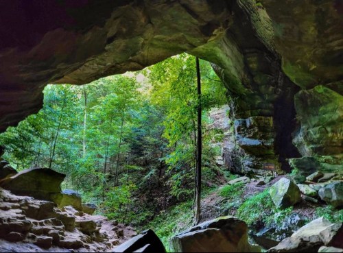 A view from inside a cave, showcasing lush green trees and rocky formations outside.