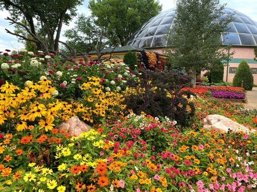 A vibrant garden filled with colorful flowers in various shades, with a glass dome structure in the background.