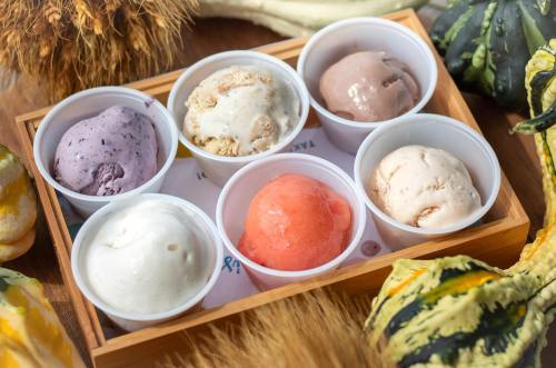 A wooden tray holds seven cups of colorful ice cream, surrounded by various gourds and natural elements.