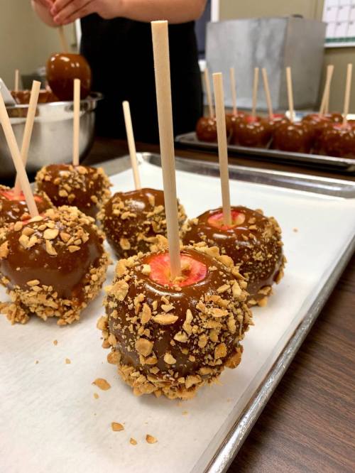 A tray of caramel apples coated in crushed nuts, with wooden sticks inserted, ready for serving.