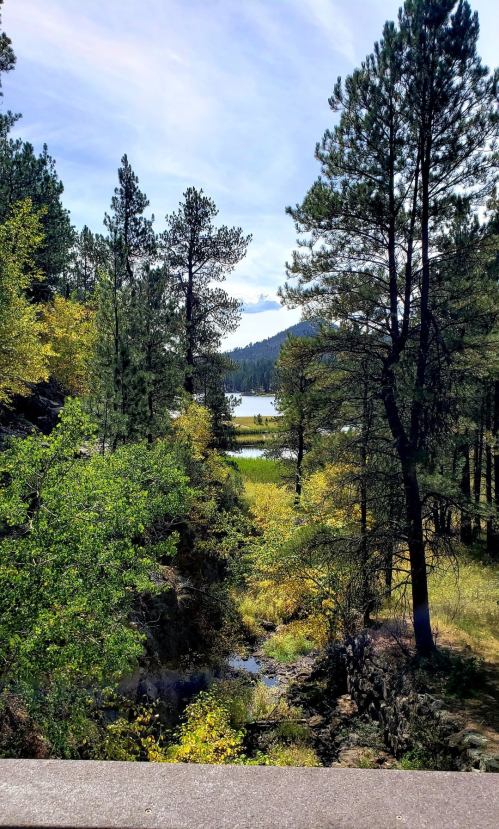 A serene landscape featuring a lake surrounded by tall pine trees and vibrant autumn foliage under a clear blue sky.