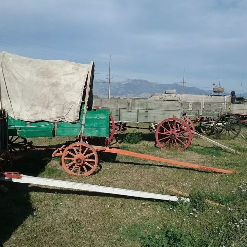 A row of vintage wagons with wooden wheels, set against a backdrop of mountains and a clear blue sky.