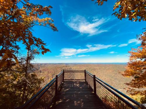 A wooden overlook with a railing, surrounded by colorful autumn trees and a clear blue sky above a vast landscape.