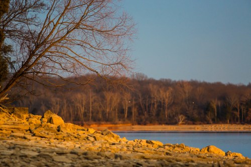 A serene lakeside scene at sunset, featuring a bare tree and rocky shoreline with distant trees in the background.
