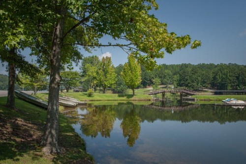 A serene lake scene with trees, a wooden bridge, and reflections on the water under a clear blue sky.