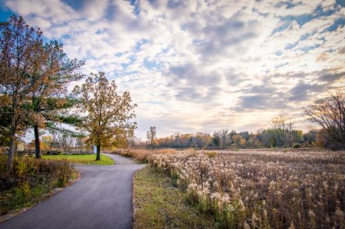 A winding path through a grassy field, bordered by trees under a cloudy sky, showcasing autumn colors.
