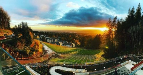Panoramic view of a sunset over a vineyard and forested landscape, with buildings in the distance.