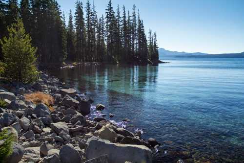 A serene lakeside scene with clear water, rocky shore, and tall trees under a bright blue sky.