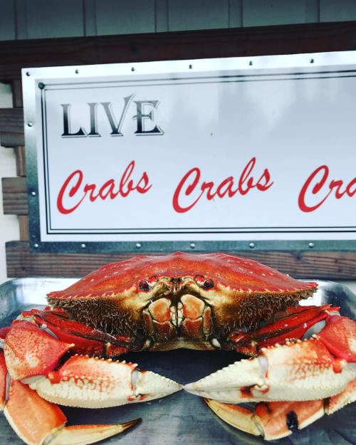 A large live crab on a metal tray in front of a sign that reads "LIVE Crabs Crabs Crabs."
