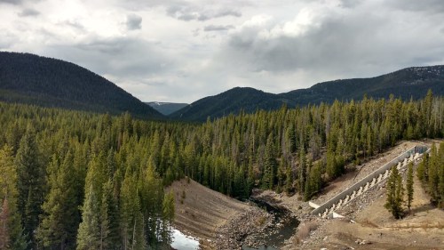 A scenic view of a forested valley with mountains in the background and a winding river. Overcast sky above.