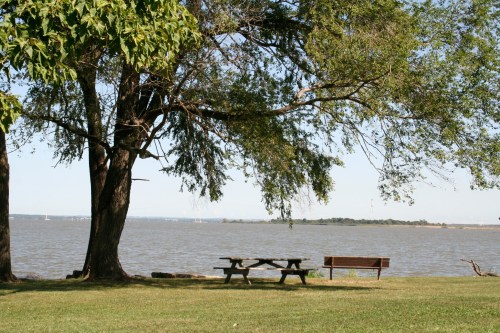 A serene lakeside scene featuring a picnic table and bench under trees, with calm water and distant shoreline.