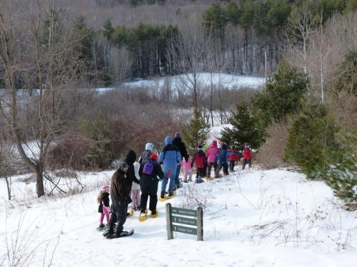 A group of people snowshoeing up a snowy hill, surrounded by trees and winter scenery.