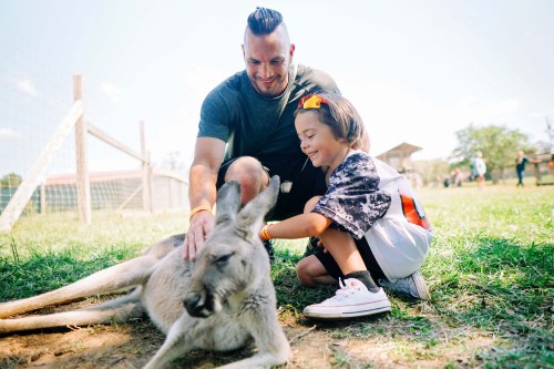 A man and a child pet a kangaroo in a sunny outdoor setting, with other people in the background.