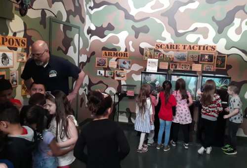 Children explore a military-themed exhibit, engaging with displays about weapons, armor, and scare tactics.