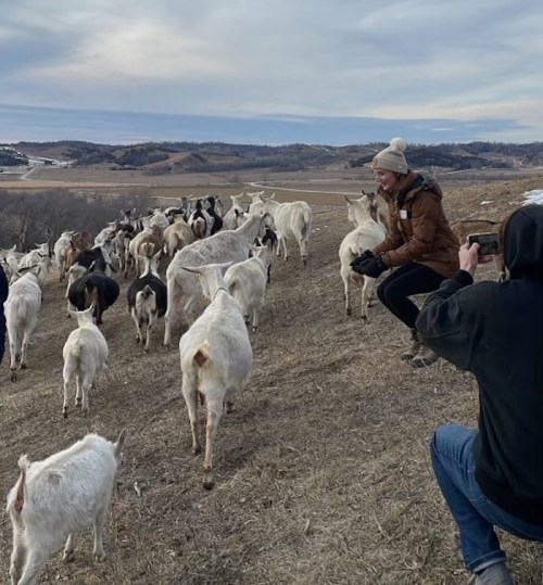 A person sits on a hillside surrounded by a herd of goats, with rolling hills and a cloudy sky in the background.