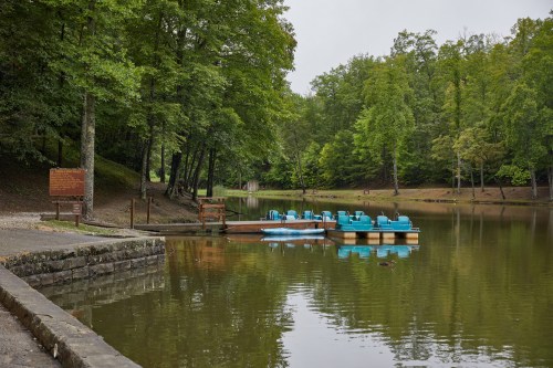 A serene lake scene with paddle boats docked at a wooden pier, surrounded by lush green trees.