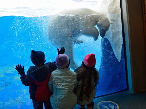 Three children watch a polar bear swimming behind a glass wall in an aquarium, with water splashing around.