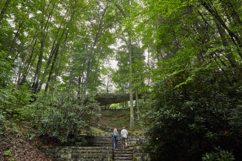 Two people walk up stone steps surrounded by lush green trees and foliage.