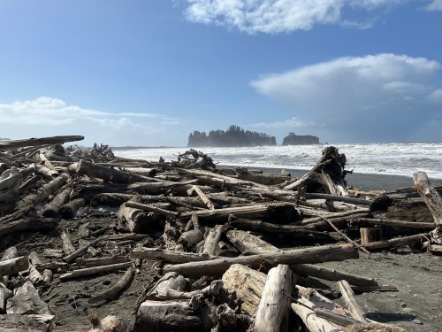A beach covered in driftwood, with waves crashing and rocky islands visible in the distance under a partly cloudy sky.