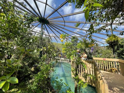 A lush greenhouse with a glass roof, featuring a winding path over a clear stream surrounded by vibrant plants.