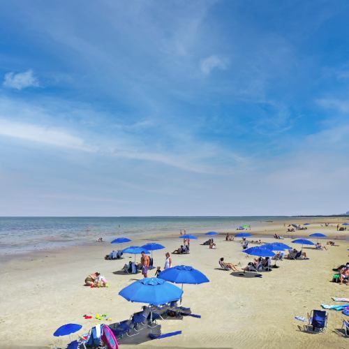 A sunny beach scene with people relaxing under blue umbrellas on the sand, with calm water in the background.