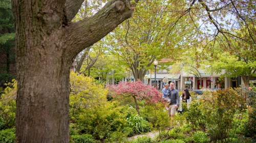 A couple strolls through a lush garden with blooming trees and shops visible in the background.