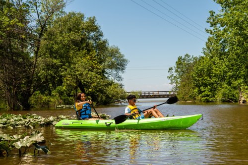 Two people kayak on a calm river surrounded by lush greenery and lily pads under a clear blue sky.