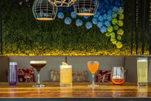 A variety of colorful cocktails displayed on a wooden bar against a floral backdrop.