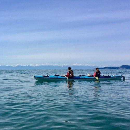 Two people kayaking on calm water with a clear blue sky and distant mountains in the background.