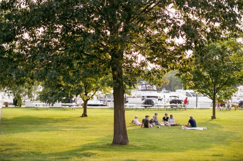 A group of people picnicking on a grassy area near a marina, surrounded by trees and parked boats in the background.