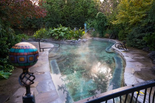 A serene outdoor pool surrounded by lush greenery, with steam rising gently in the early morning light.