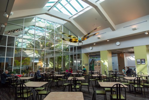 Bright, airy café with large windows, a dragonfly sculpture, and patrons seated at tables. Greenery visible outside.