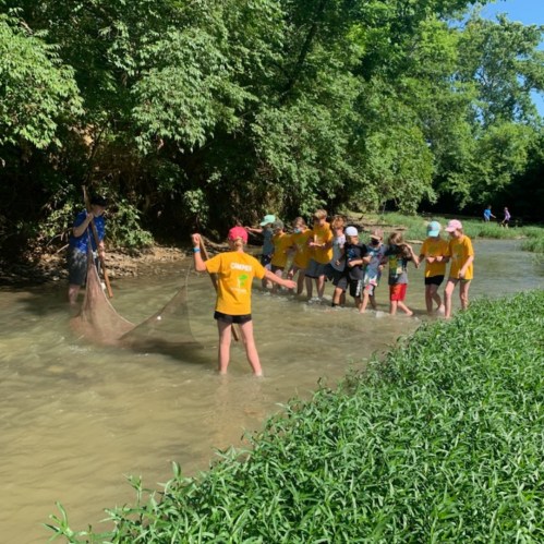 A group of children wade in a shallow stream, observing a person using a net to catch aquatic life.