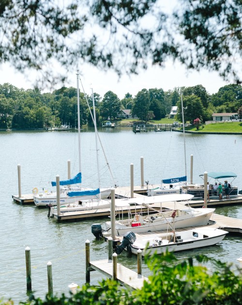 A serene marina with several boats docked, surrounded by lush greenery and a calm waterway.