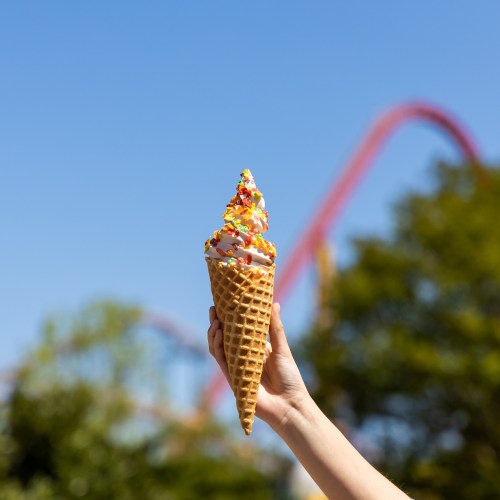 A hand holds a colorful ice cream cone topped with sprinkles, with a roller coaster and trees in the background.