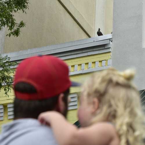 A person holding a child looks up at a bird perched on a rooftop in the background.