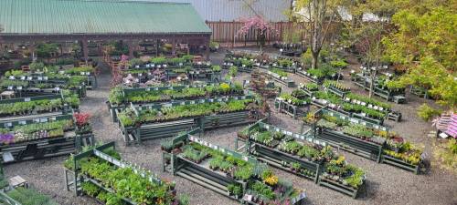 Aerial view of a vibrant garden center with rows of plants in wooden planters and a green roofed building in the background.