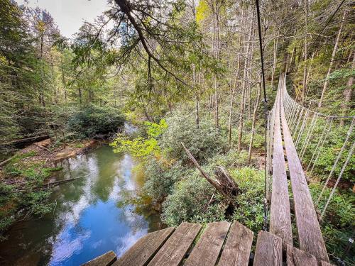 A wooden suspension bridge stretches over a serene river, surrounded by lush green trees and foliage.