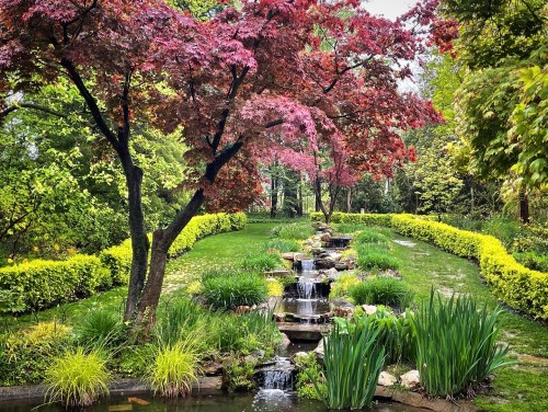 A serene garden scene featuring a flowing stream, vibrant greenery, and a tree with pink leaves.