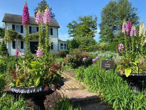 A charming garden with vibrant flowers and a white house in the background, featuring a sign for "Cottage Garden."