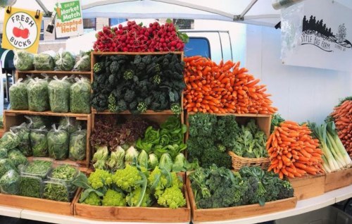 A vibrant display of fresh vegetables at a market, featuring carrots, broccoli, lettuce, and radishes in wooden crates.