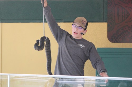 A person in a gray shirt and cap holds a snake while speaking to an audience in a colorful setting.