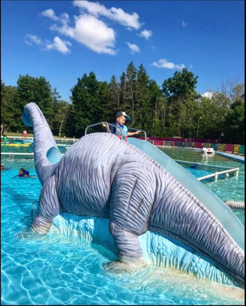 A child slides down a dinosaur-shaped slide into a pool, surrounded by trees and a clear blue sky.