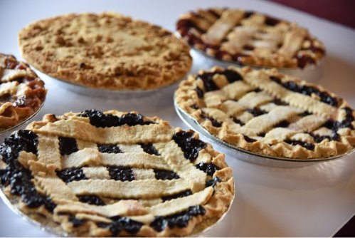A variety of freshly baked fruit pies with golden crusts, including lattice-topped and solid crust designs.