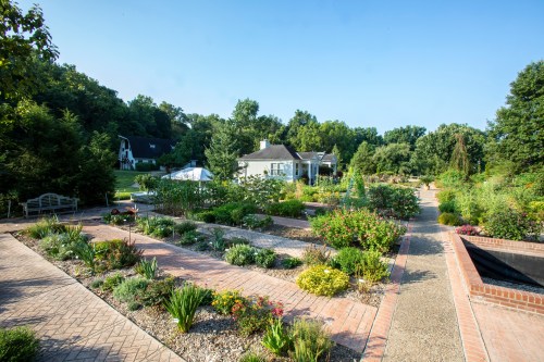 A landscaped garden with pathways, colorful flowers, and a house in the background under a clear blue sky.