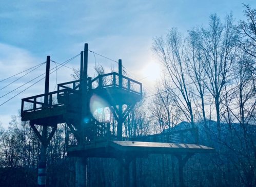 A wooden climbing structure surrounded by trees, with sunlight shining through the branches.